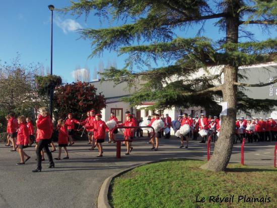 Sainte-Cécile 21 Novembre 2015